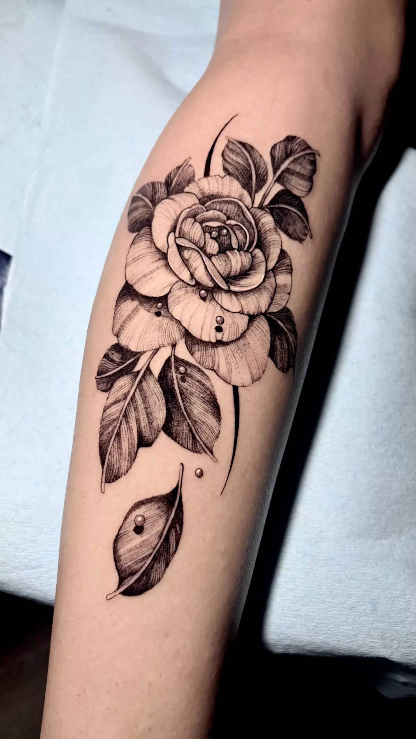 Tribal — Aristocratic Ink