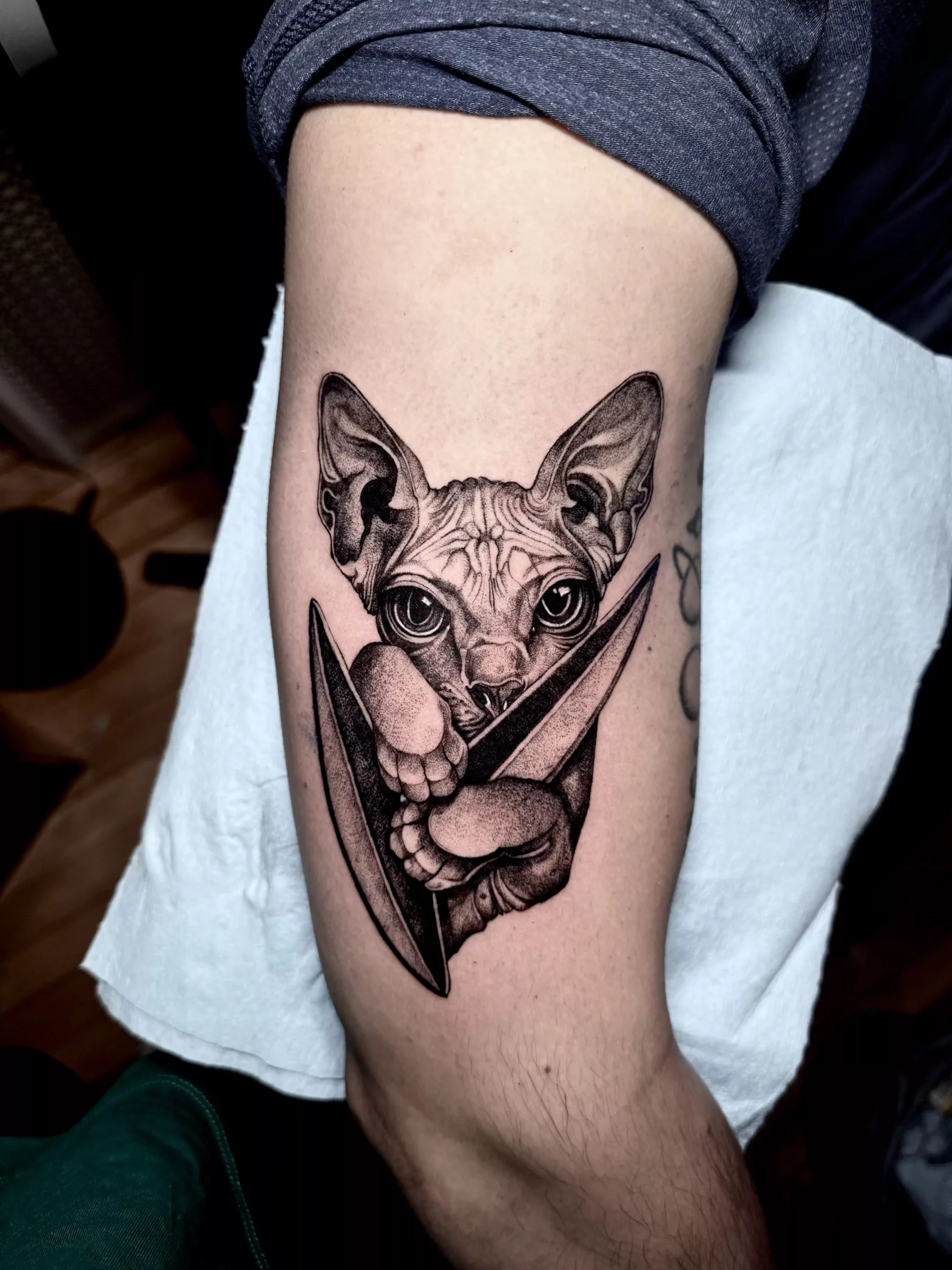 Surrealism — Aristocratic Ink